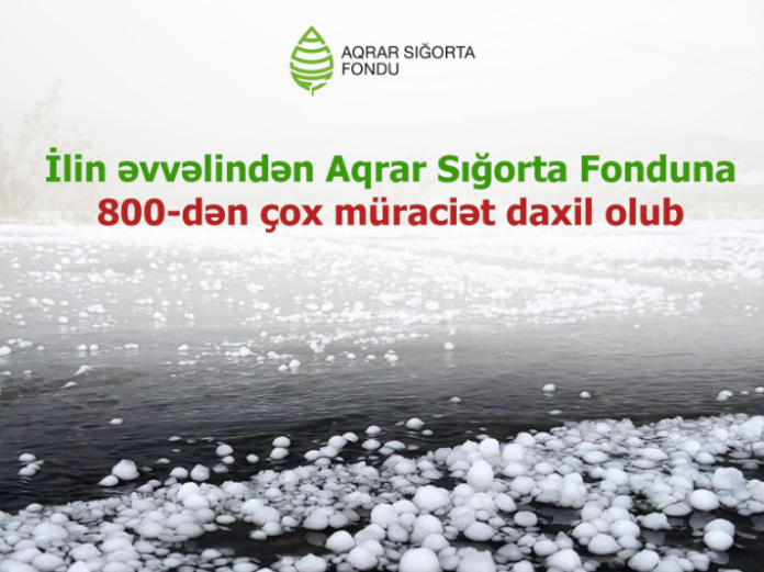 ASF-yə 800-dən çox müraciət daxil olub