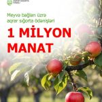 Meyvə bağları üzrə aqrar sığorta ödənişləri 1 milyon manata çatıb