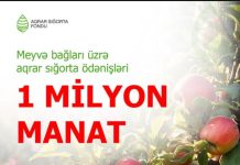 Meyvə bağları üzrə aqrar sığorta ödənişləri 1 milyon manata çatıb