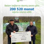 Badam Bağlarını Subasdı, Aqrar Sığorta Fondu 200 520 AZN Ödədi