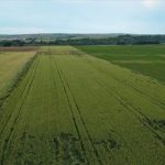 Türkiyədə Tarım sığortalarında noyabr ayında 4,2 milyard lirəlik təzminat ödənişi edilib