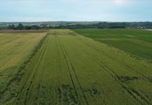 Türkiyədə Tarım sığortalarında noyabr ayında 4,2 milyard lirəlik təzminat ödənişi edilib