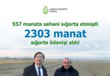 557 manata sahəni sığorta etmişdi – 2303 manat sığorta ödənişi alıb