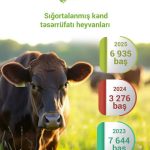 Azərbaycanda sığortalanan kənd təsərrüfatı heyvanlarının sayı 2 dəfə artıb