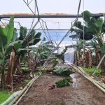 TARSİM Antalyada seldən zərər çəkmiş istehsalçılara 586 milyon lirə həcmində zərər ödənişi edəcək