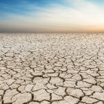 “Quraqlıq riskinə görə də əkin sahələri sığortalana bilər”-ASF rəsmisi