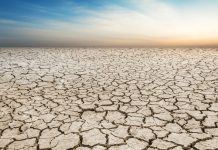 “Quraqlıq riskinə görə də əkin sahələri sığortalana bilər”-ASF rəsmisi