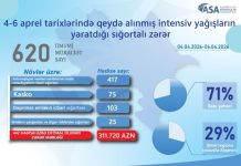 İntensiv yağışlar nəticəsində 600-dən çox sığortalı zərər görüb