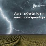 Aqrar Sığorta Fondu: İldırım nəticəsində yaranan zərərlər də sığortalanır