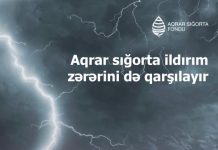 Aqrar Sığorta Fondu: İldırım nəticəsində yaranan zərərlər də sığortalanır
