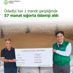 Aqrar sığorta ödənişi: Fermer ödədiyi hər 1 manat sığorta haqqı qarşılığında 57 manat təzminat aldı