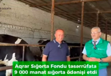 Fermer 9 000 manat sığorta ödənişi aldı: “İndi tam arxayınam”