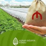ASF indiyədək fermerlərə 24 milyon manata yaxın ödəniş edib